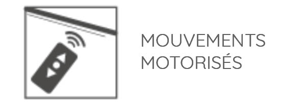 Mouvements motorisés